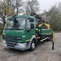Daf Lf